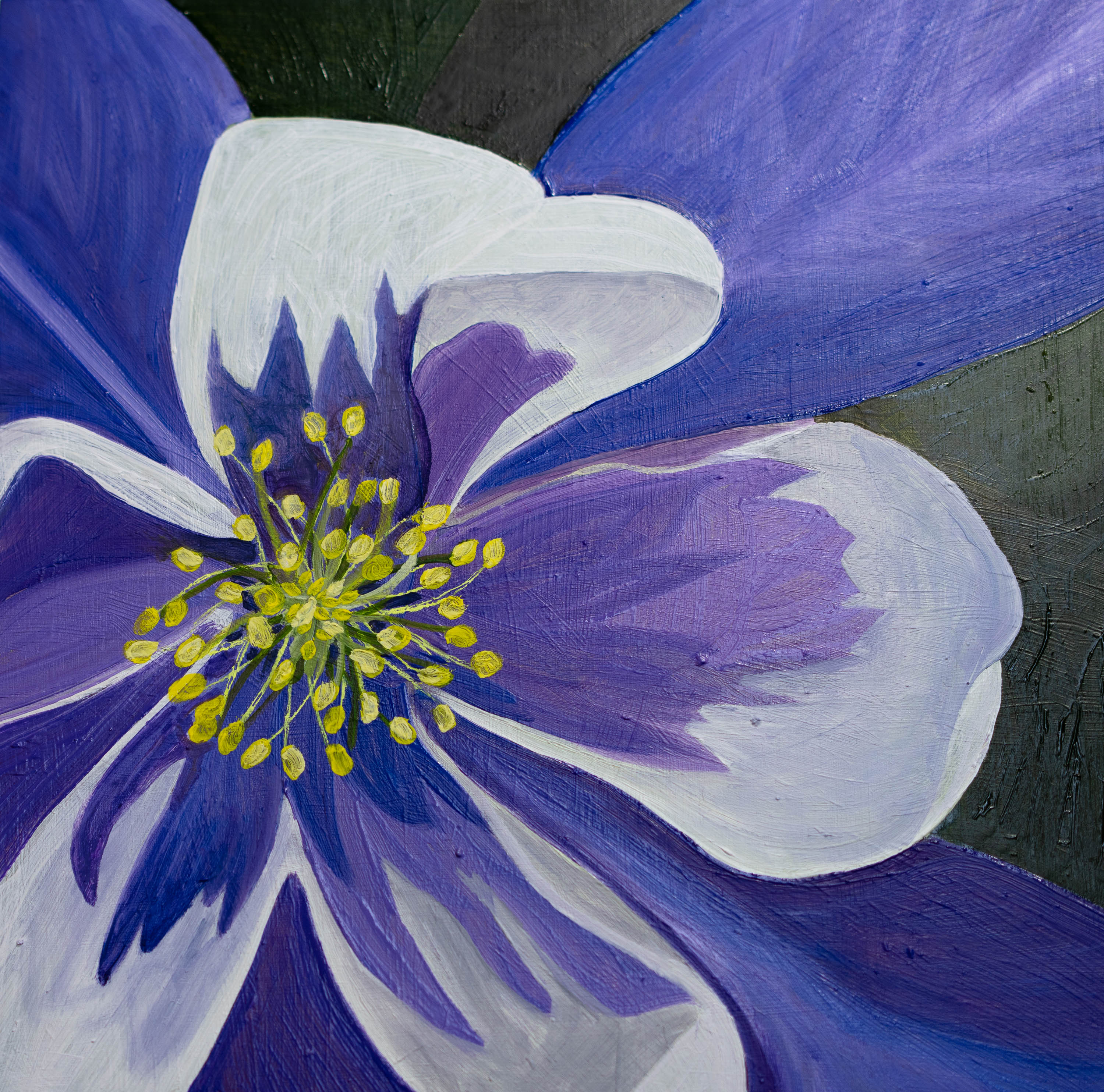 Purple Columbine - oil on cradled panel. Part of a series of Colorado Wildflower details.