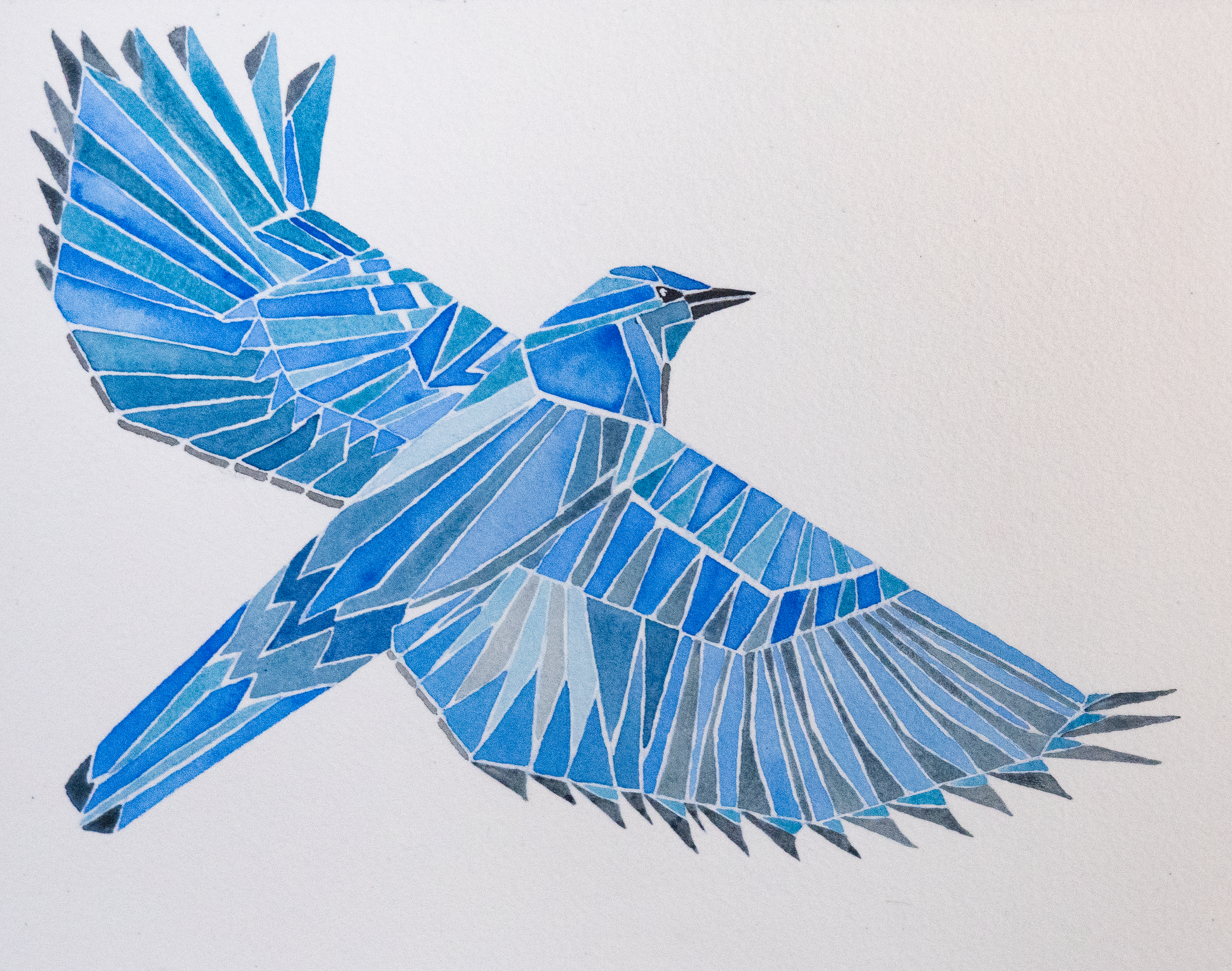 Colorado Bluebird - Watercolor on 140# cold pressed paper, mounted on cradled wood panel and rubbed with cold wax for protection. Part of a series of Colorado birds.