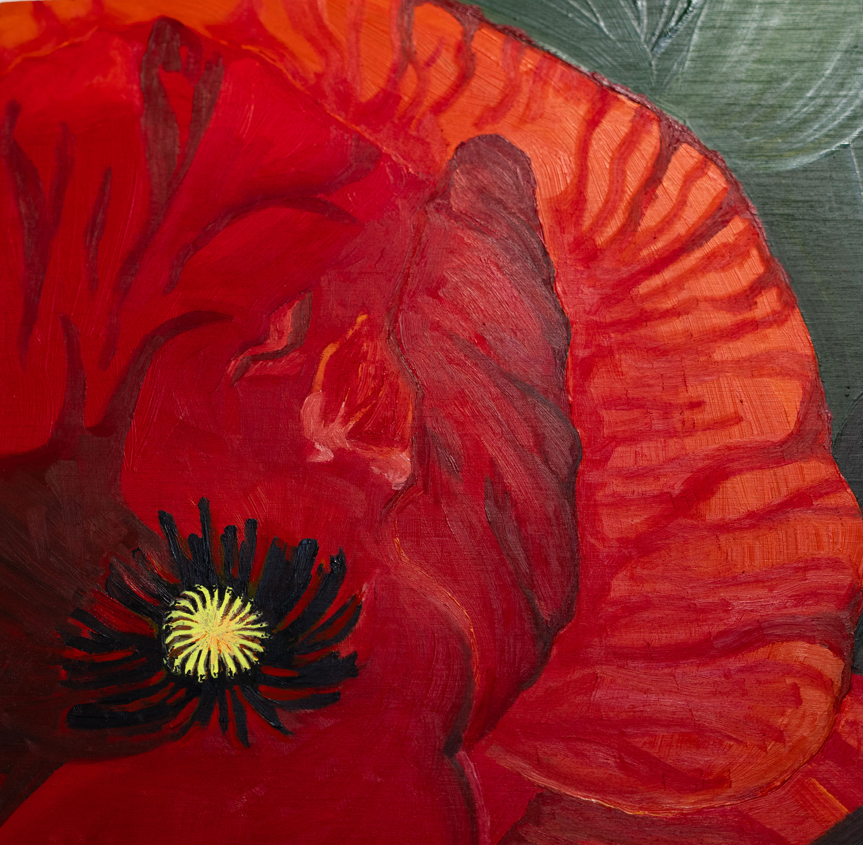 Red Poppy - oil on cradled panel. Part of a series of Colorado Wildflower details.