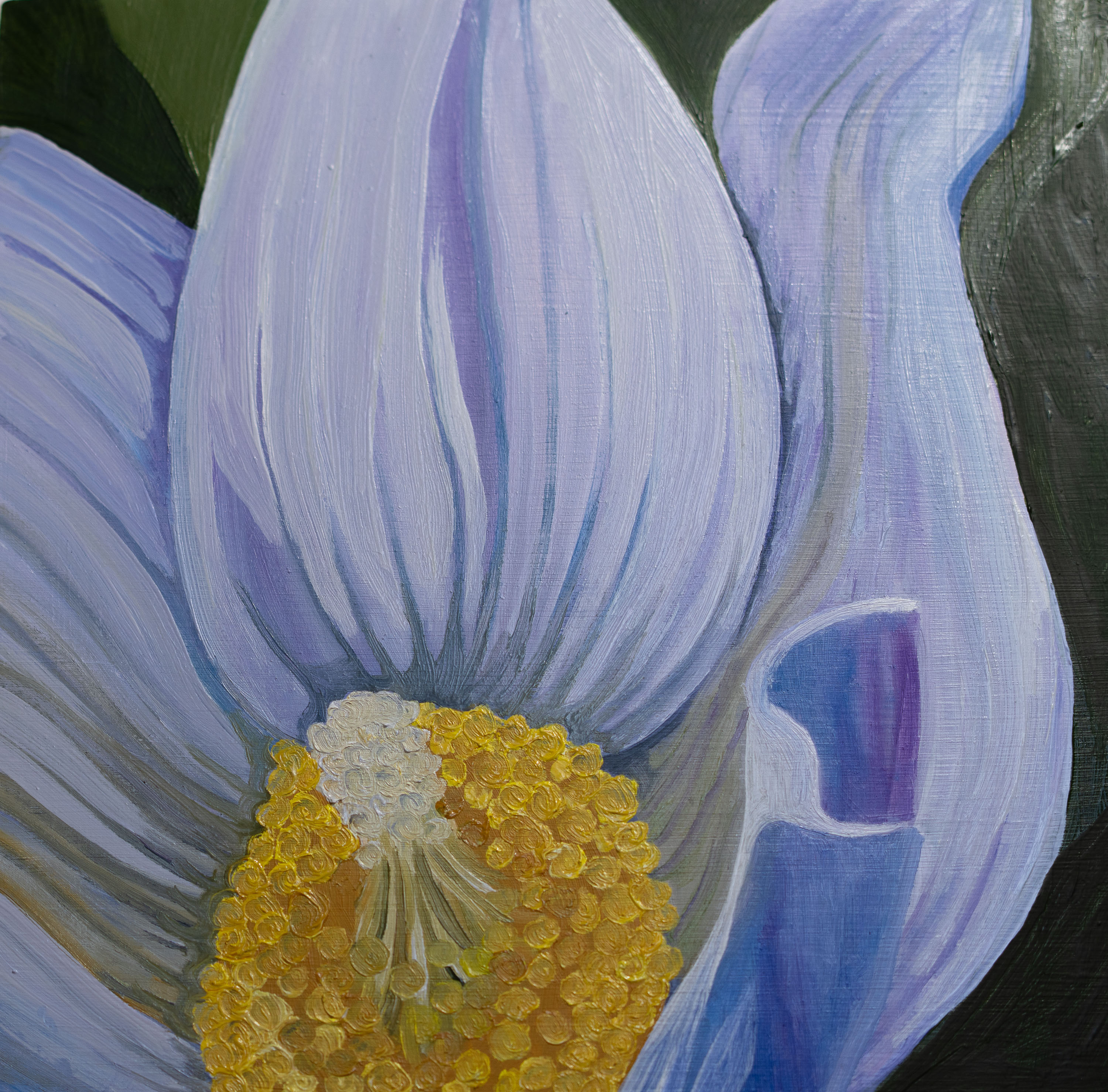 Pasque Flower - oil on cradled panel. Part of a series of Colorado Wildflower details.