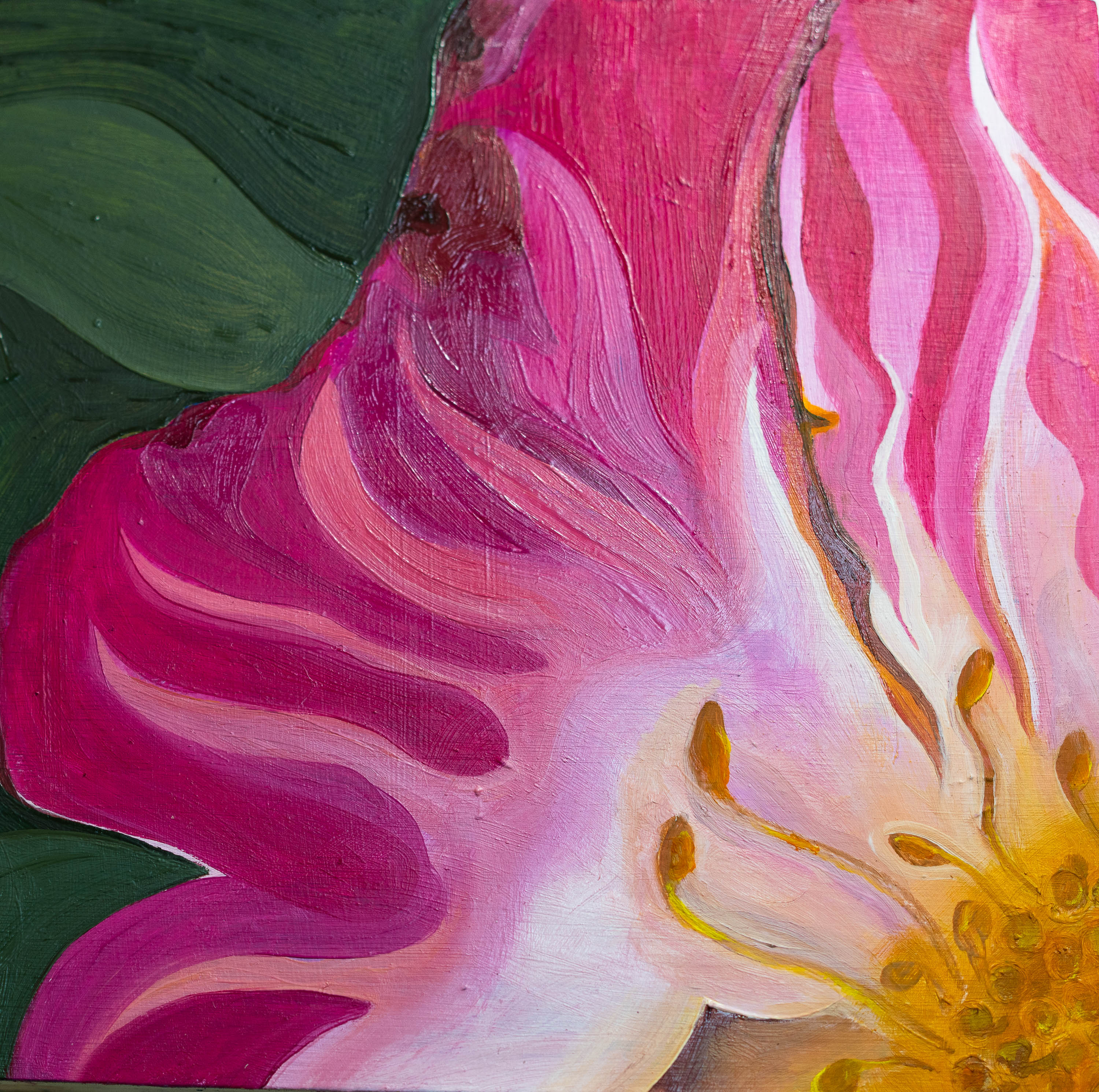 Western Wild Rose - oil on cradled wood panel. Part of a series of Colorado Wildflower details.