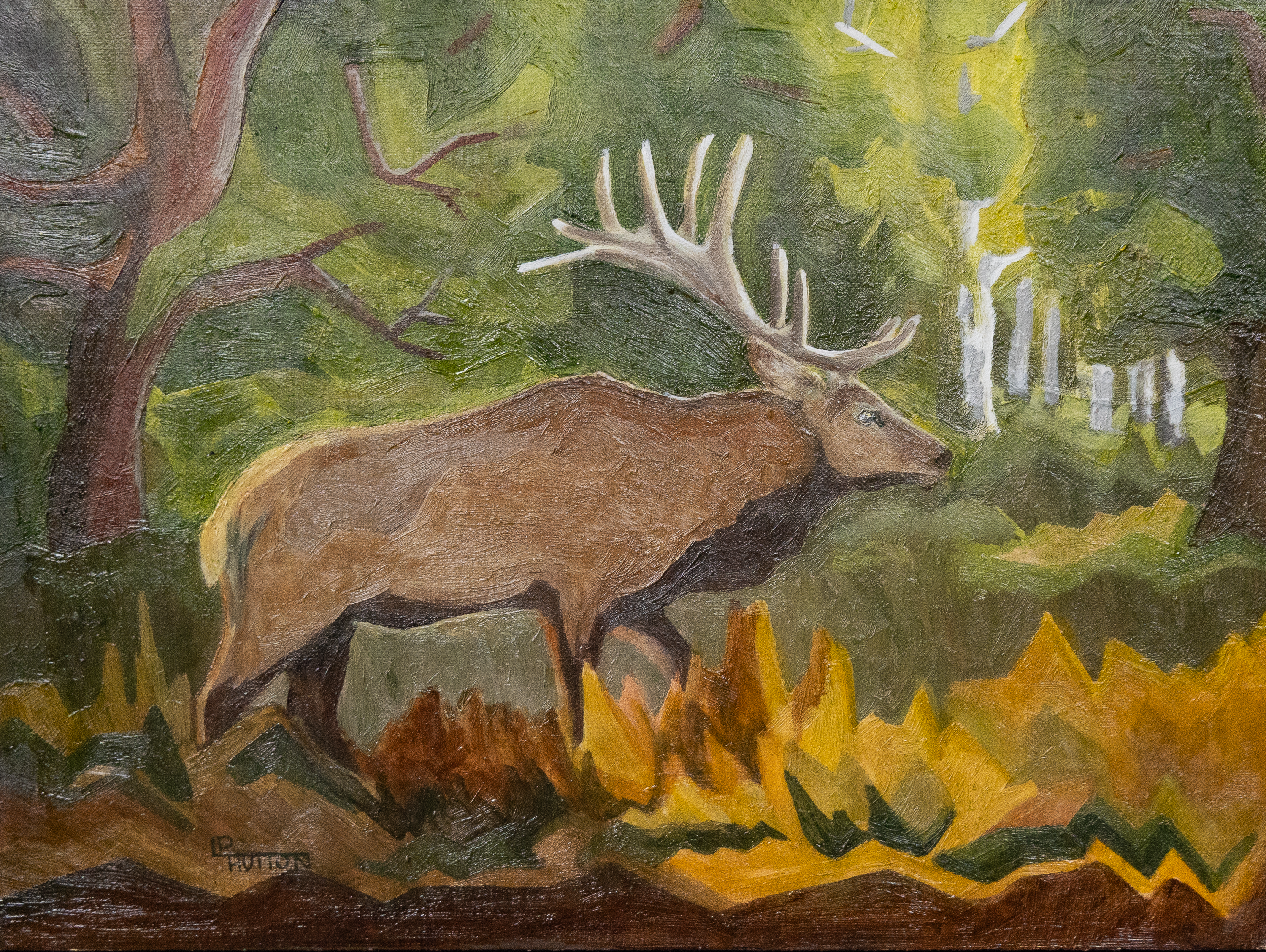 Golden Elk - Framed Oil on wood panel