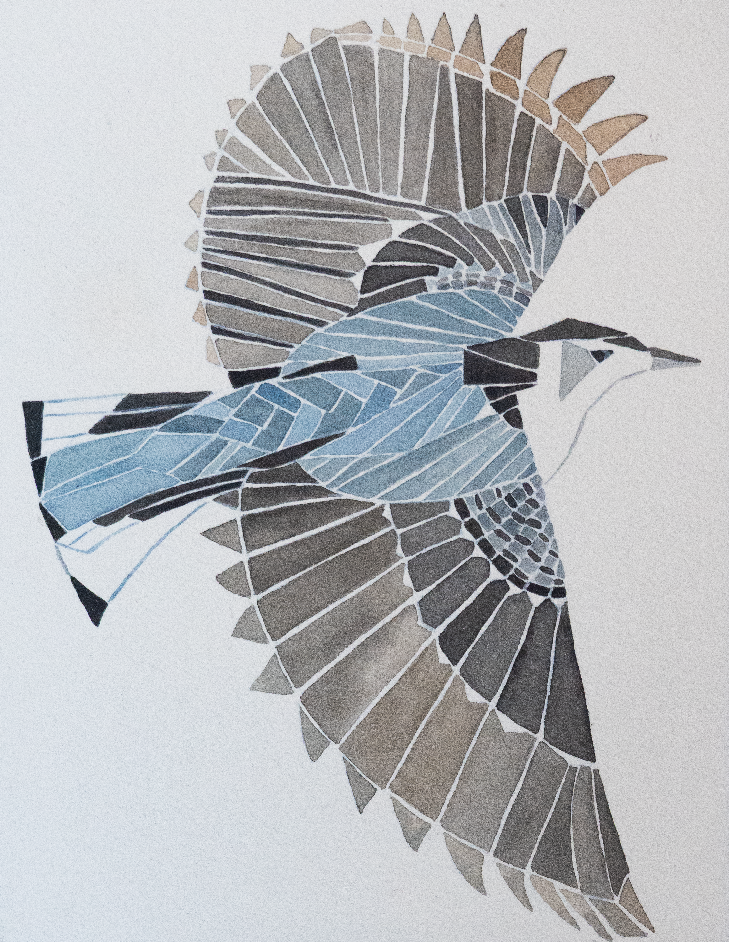 White Breasted Nuthatch - Watercolor on 140# cold pressed paper, mounted on cradled wood panel and rubbed with cold wax for protection. Part of a series of Colorado birds.