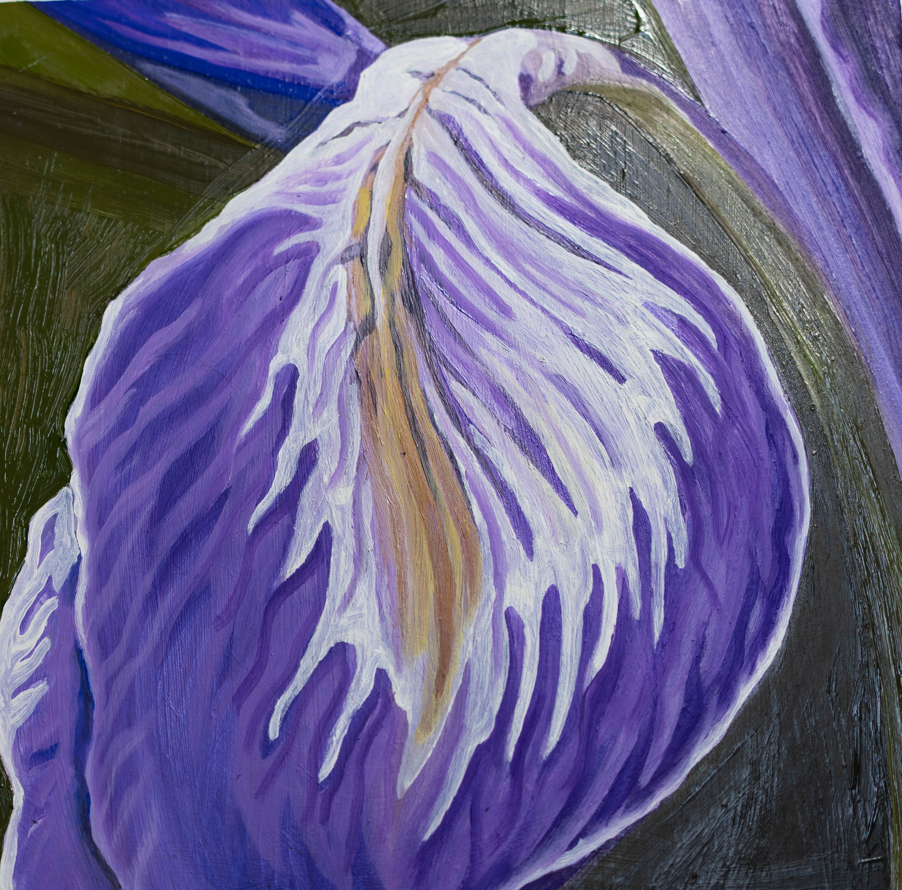 Wild Iris - oil on cradled panel. Part of a series of Colorado Wildflower details.